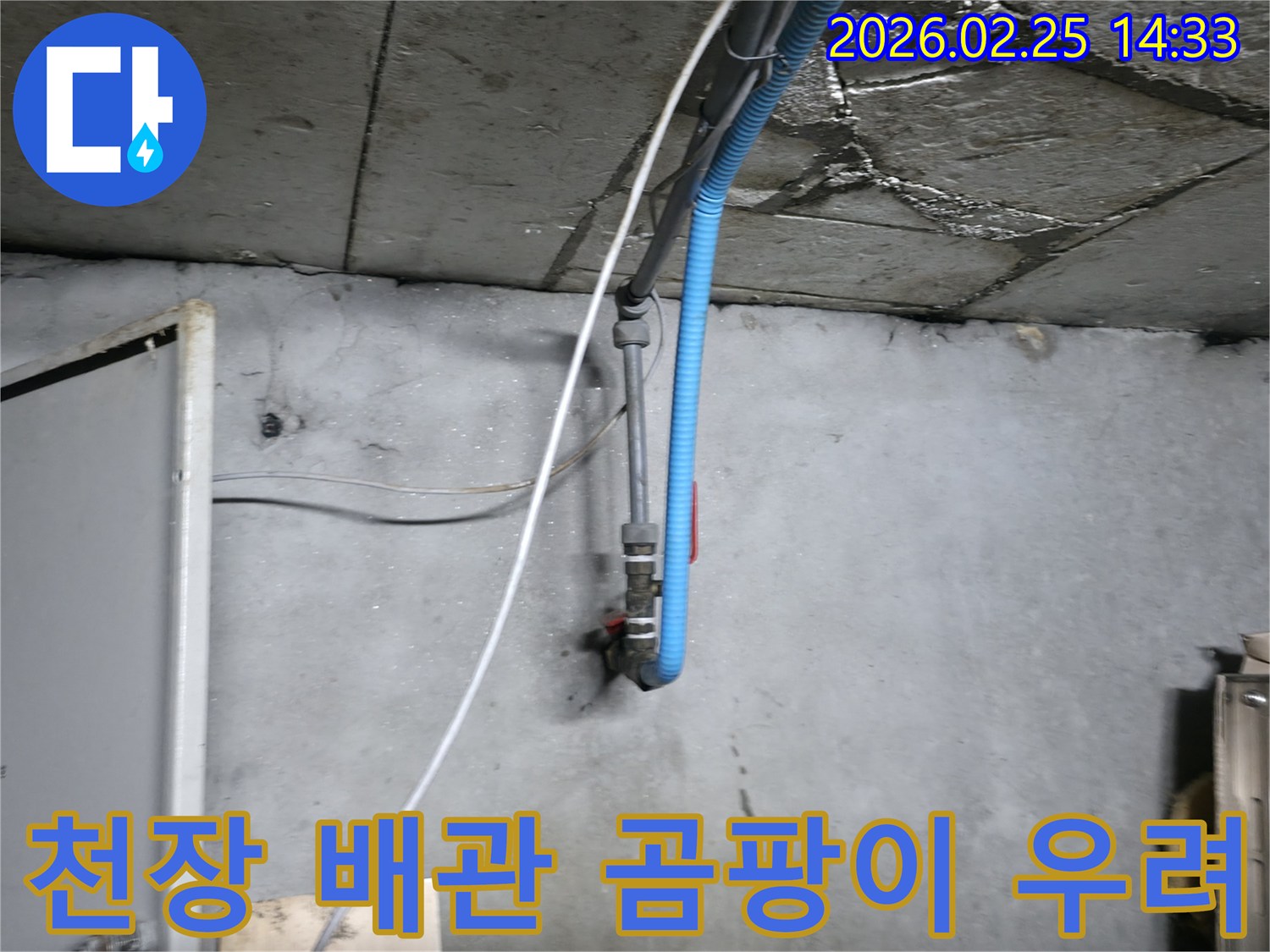 습기로 인해 변색된 천장과-배관 주변에 곰팡이 발생이-우려되는 현장의 모습