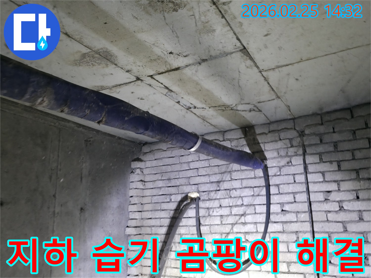 진황도로 211 인근-지하 공간의 습기와-곰팡이 발생 현장을-전문가가 확인하고-근본적인 해결책을 모색하는 모습