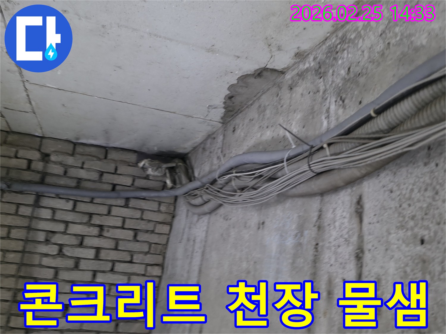 콘크리트와-벽돌 벽이 만나는-지하 모서리에서-발견된-천장 누수 자국과-노후된 배관 시스템