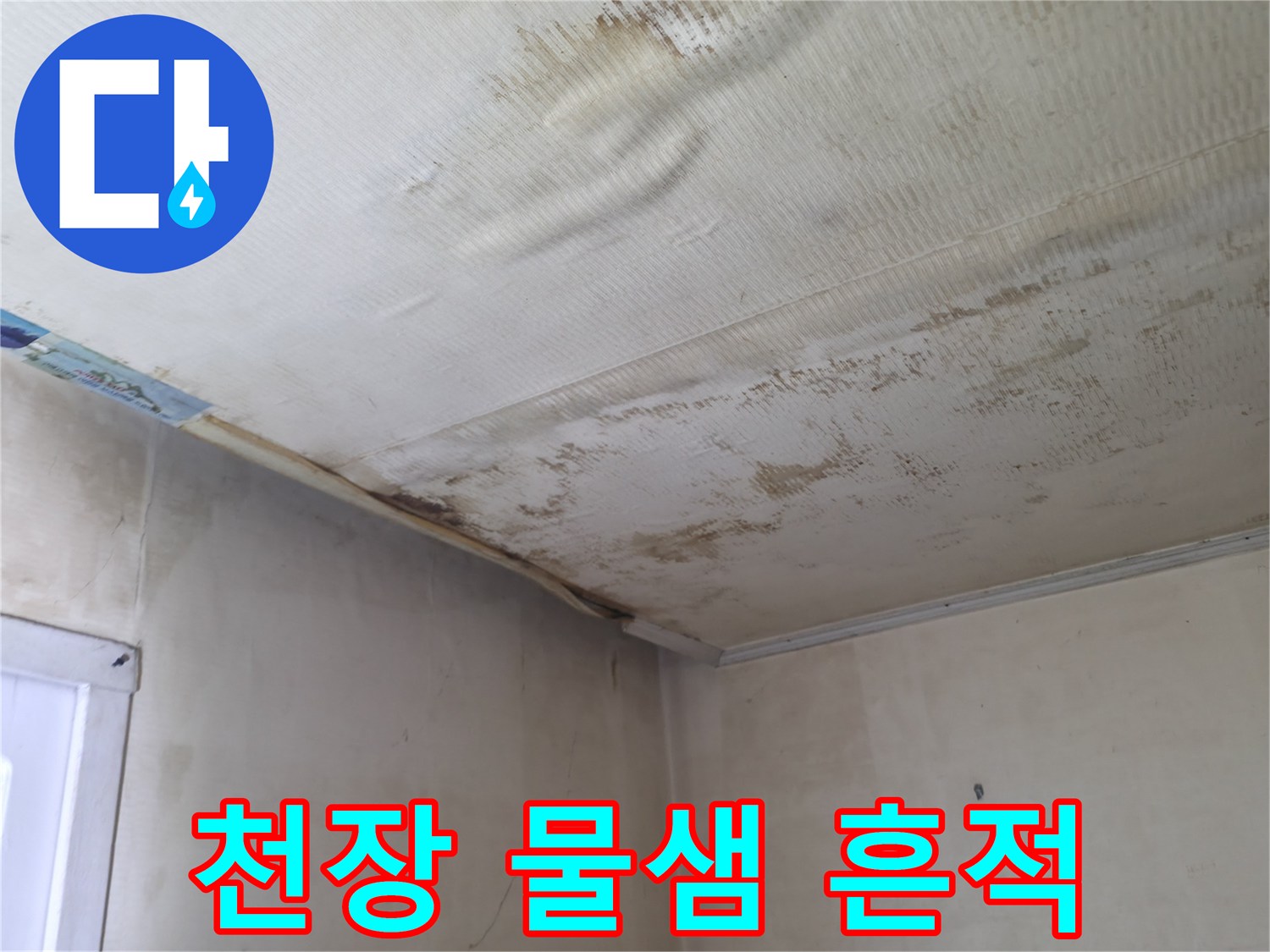 천장-벽지의-갈색-물자국과-곰팡이-발생-부위