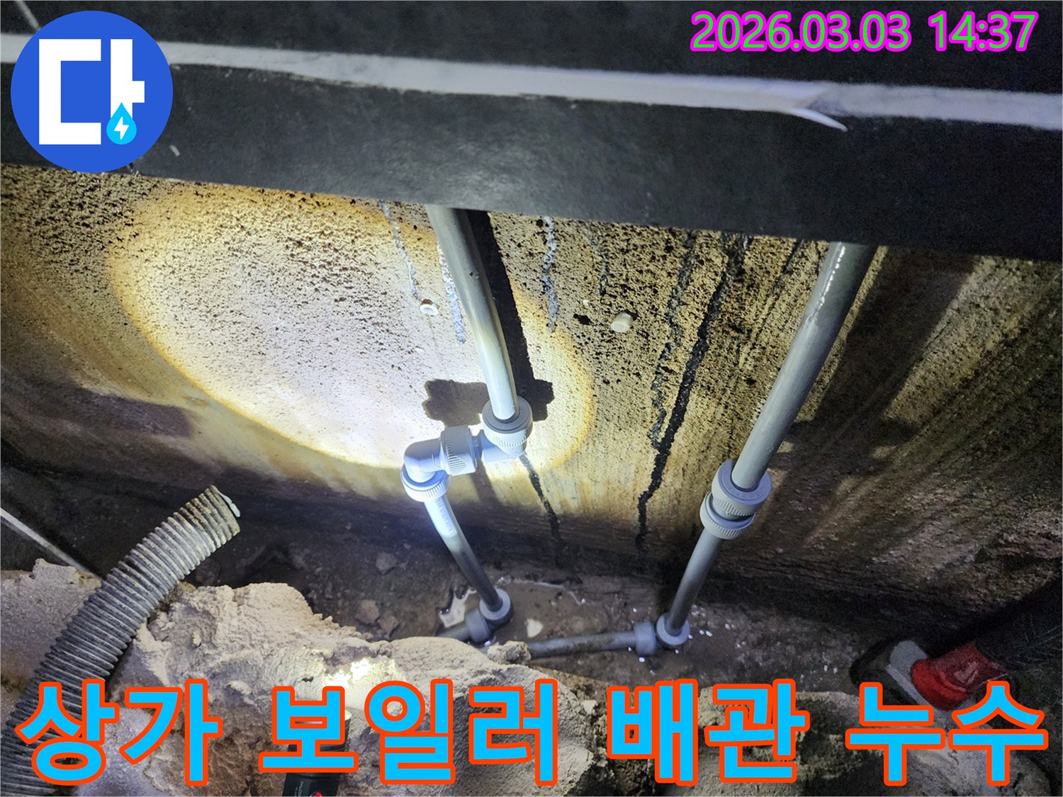 습기와 곰팡이로 오염된-누수 현장을-조사하는 전문가의 모습입니다.