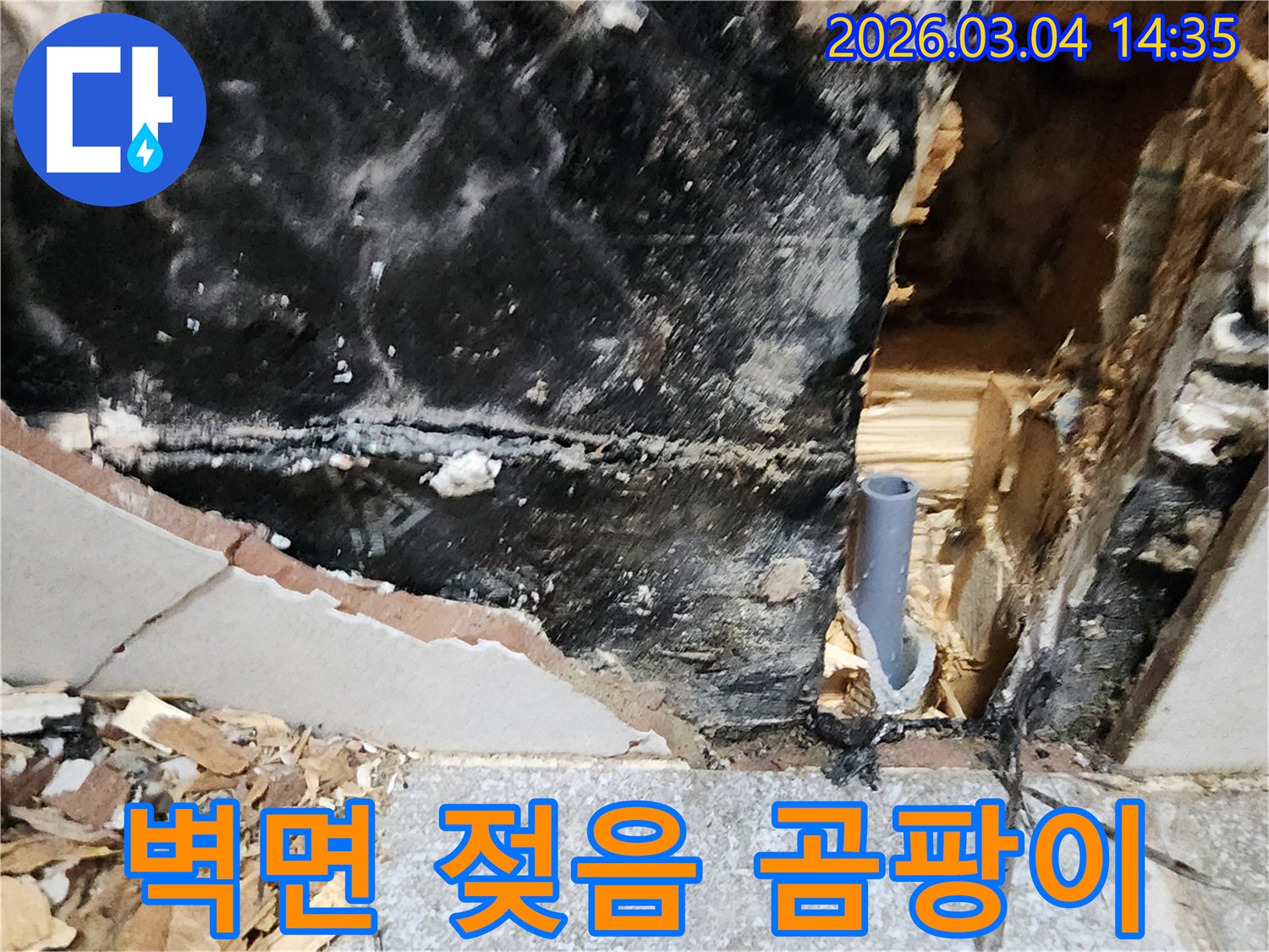 벽면의 젖음과 곰팡이-그리고 노출된 배관은 누수의 명확한 증거입니다