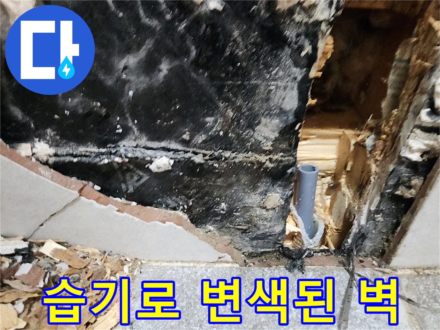벽체 내부 상태 - 습기와 곰<0xAE>팡이로 오염된 현장 모습