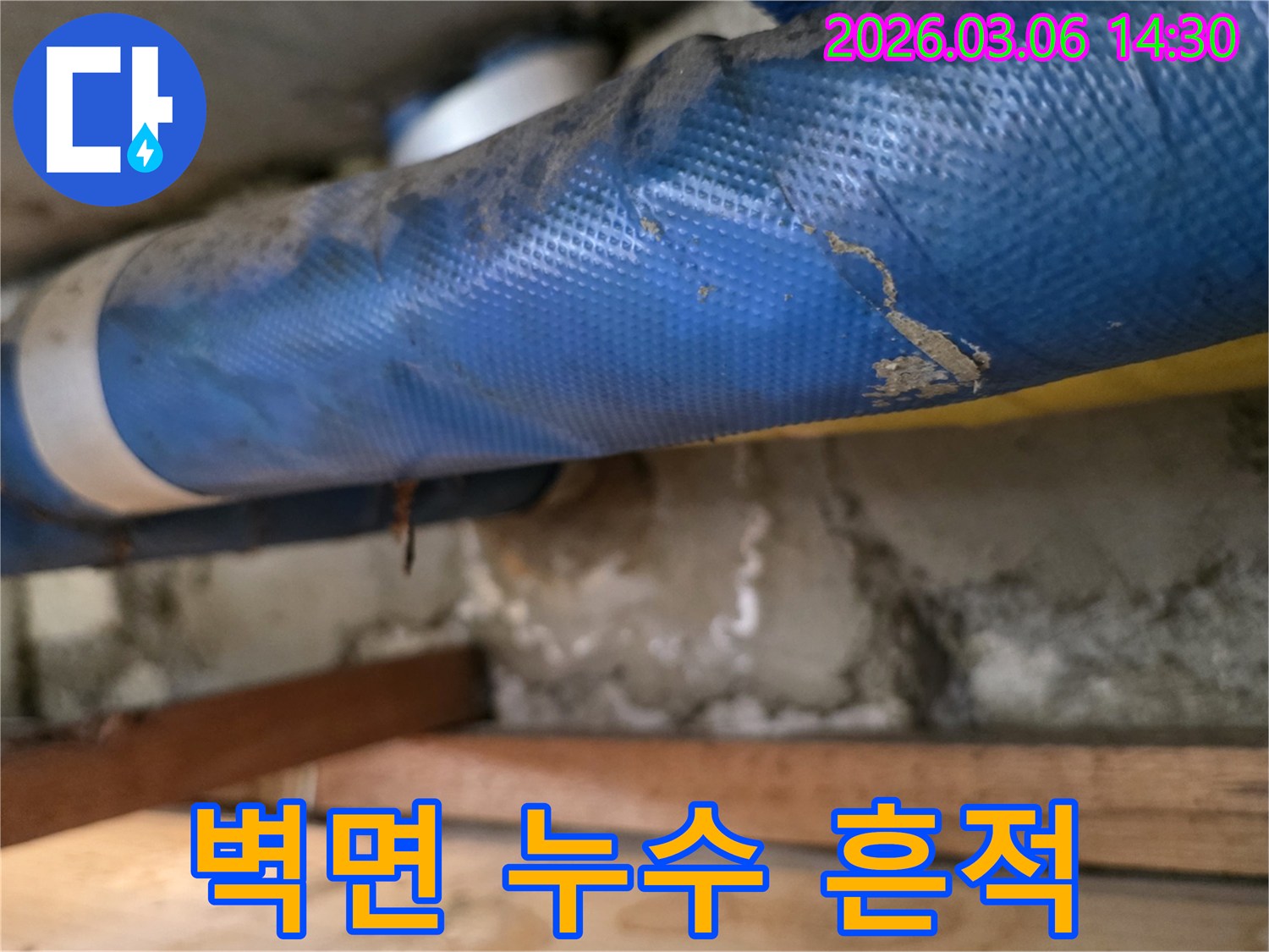 빌라 벽면 하부-파란색 배관과-심하게 젖은 콘크리트-그리고 나무 지지대를-꼼꼼히 점검하는 장면