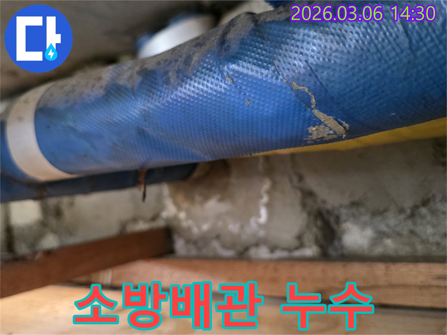 아파트 천장 하부-파란색 소방배관과-젖은 콘크리트 벽면-그리고 나무 지지대를-꼼꼼히 점검하는 모습