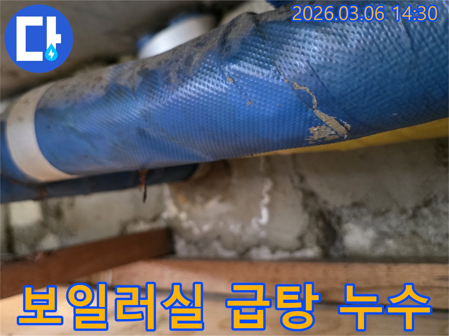 주택 보일러실 하부-파란색 급탕 배관과-젖은 콘크리트 벽면-그리고 나무 지지대를-꼼꼼히 점검하는 모습