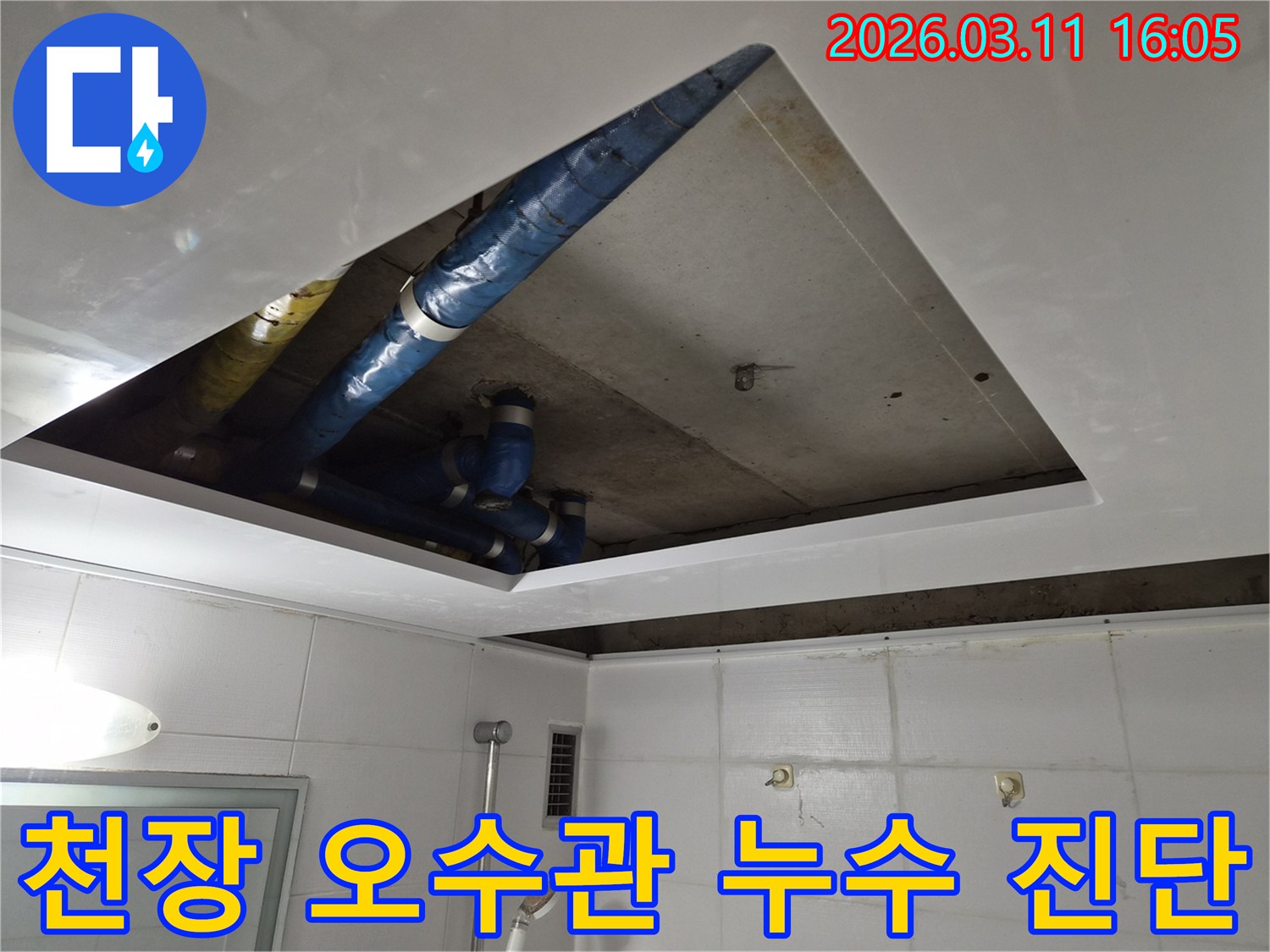 천장-오수관-누수-배관-상태-진단-현장-파란색-파이프-확인-작업