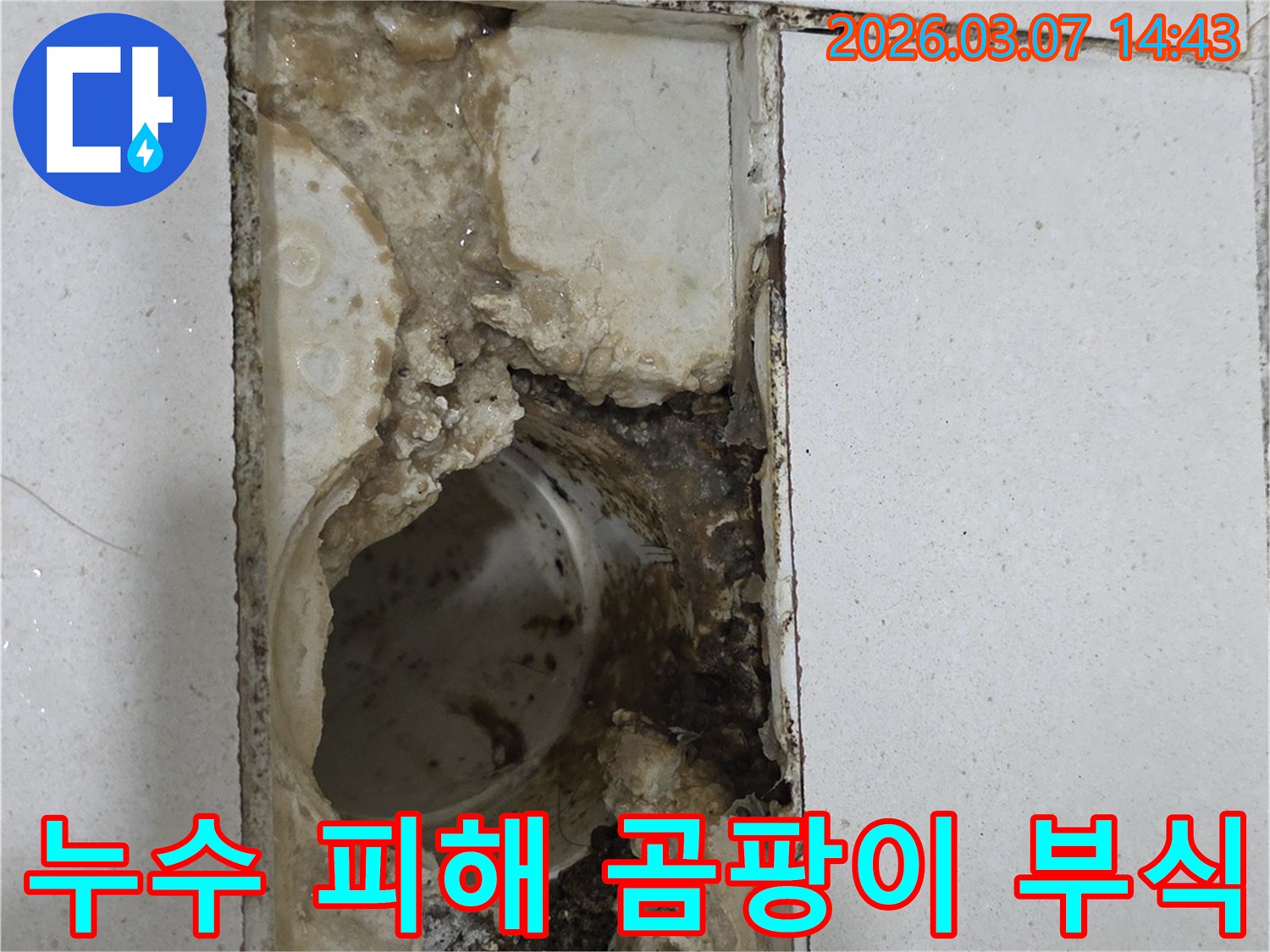 누수 피해로-인해-곰팡이와-부식이-심각하게-발생한-배수구-주변의-모습입니다.