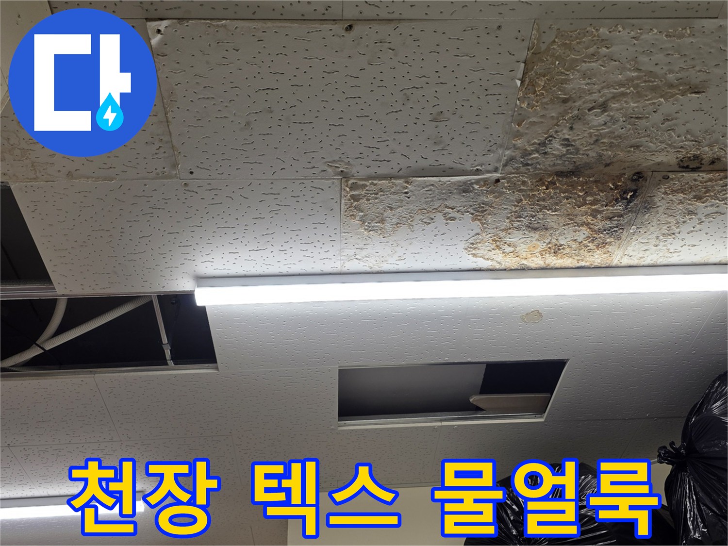 상가 천장-텍스 부위의 습기로 인한 얼룩 현상