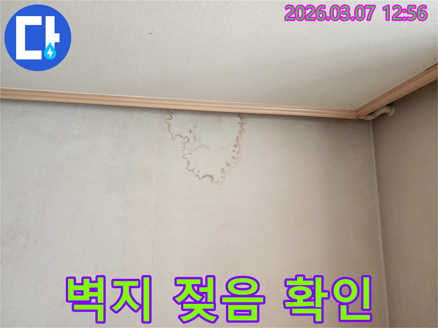 벽지가 젖어있는-누수 현장-정확한 누수 위치 탐지를 위한-전문가의 세심한 작업