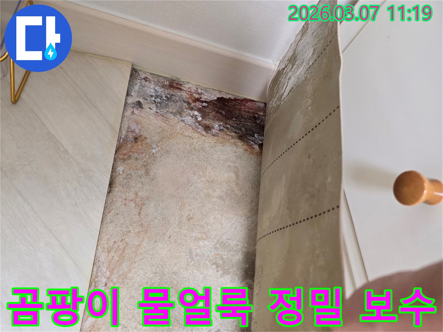 벽지를 제거한 후 드러난 벽면의 심각한 물얼룩과-곰팡이로 오염된 벽면의 정밀 진단 후 보수 전 모습