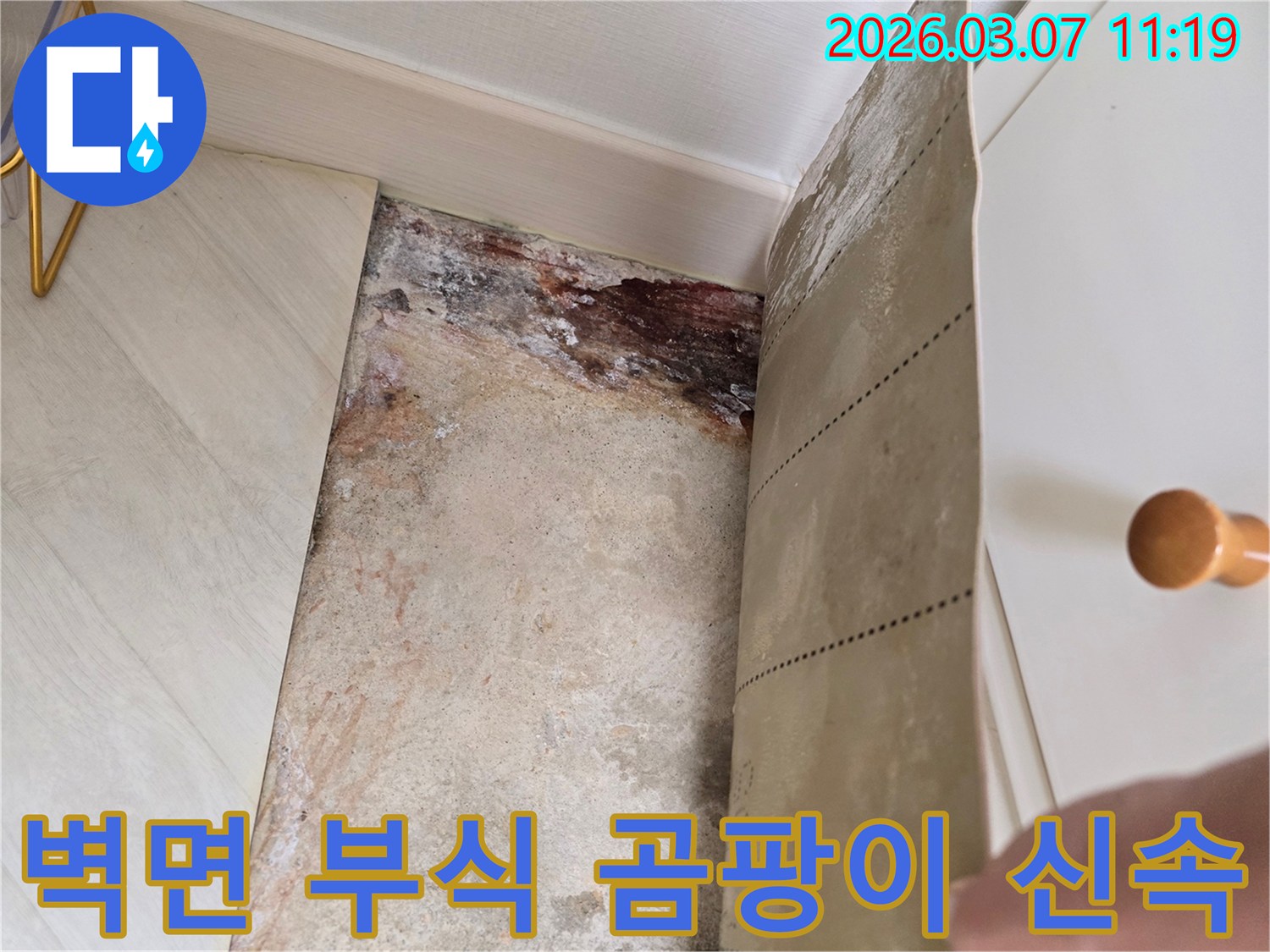 벽지를 제거한 후 드러난 벽면의 심각한 부식과-곰팡이로 오염된 벽면의 상세 이미지