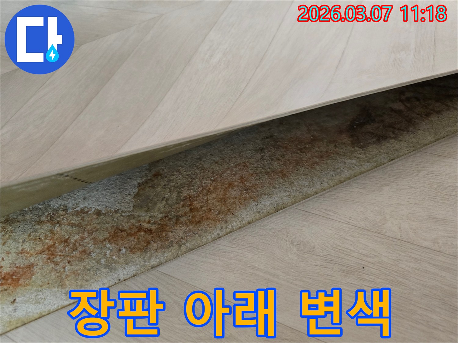 사무실 장판 아래에서-오랜 누수로 인해 발생한-선명한 변색과 물자국이 드러난 모습