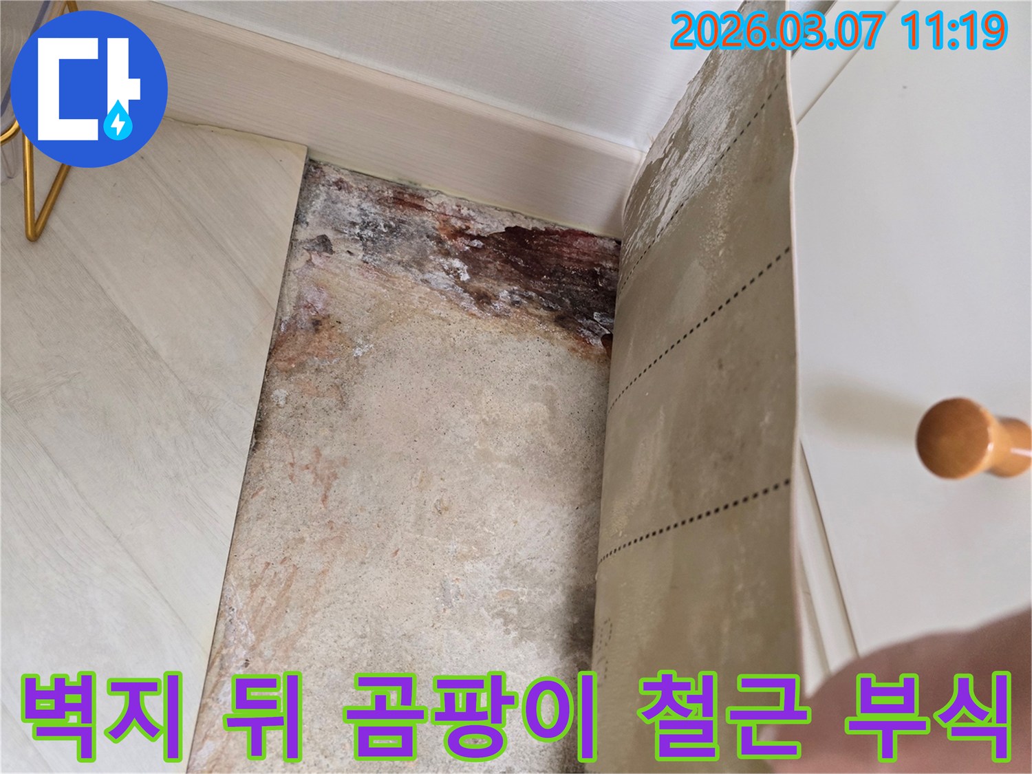 아파트 벽지를 떼어낸 후 발견된 심각한 곰팡이와-철근 부식으로 인한 벽면 손상 모습