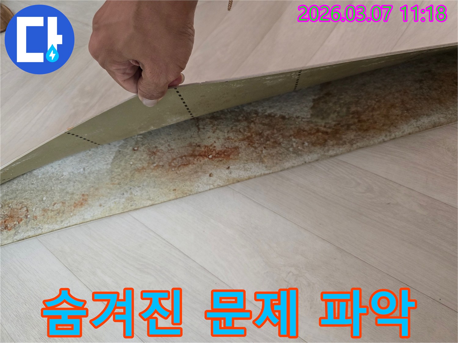 장판-아래-숨겨진-누수-문제의-심각성을-보여주는-이미지-및-진단-과정