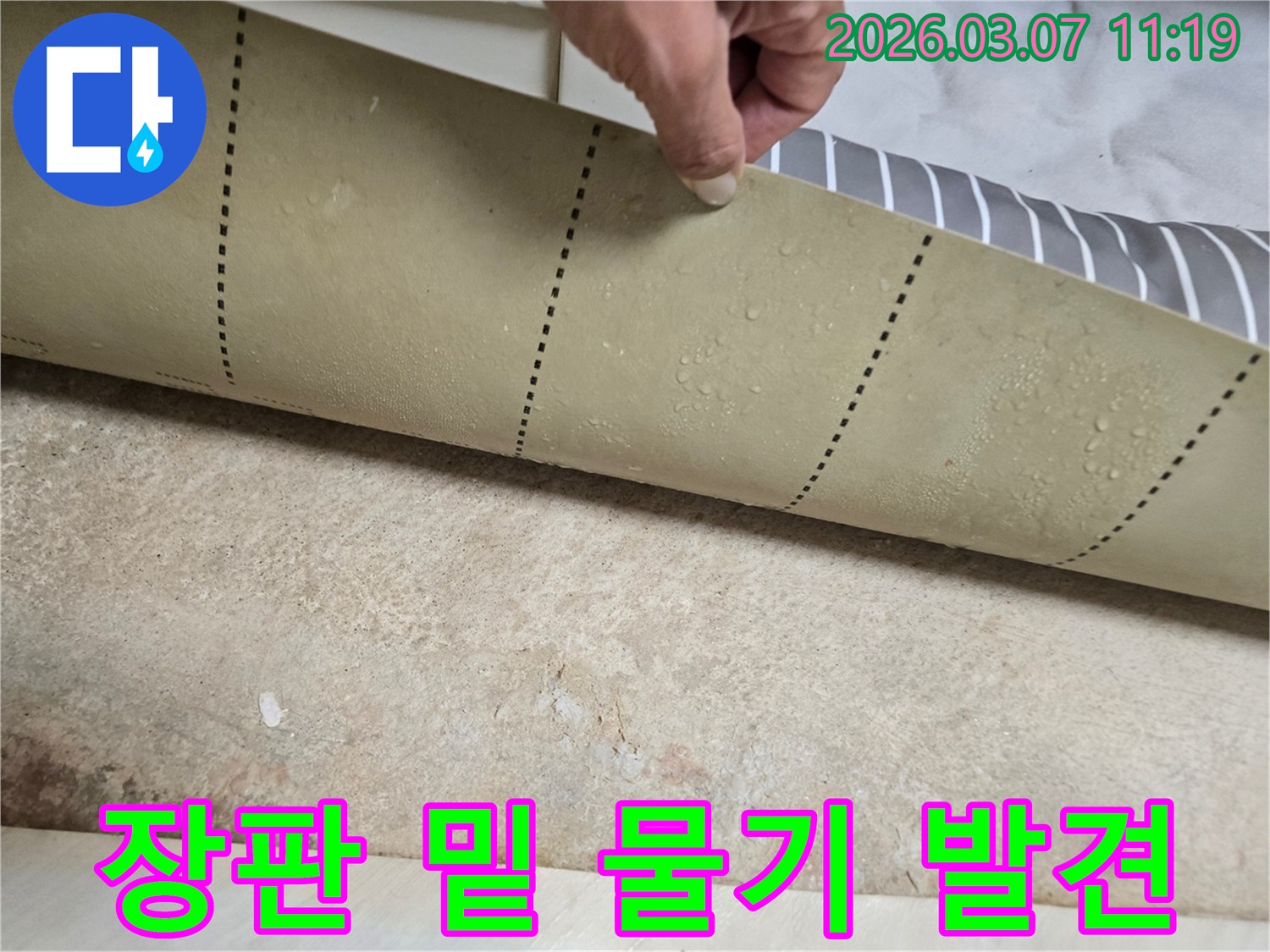 장판을-들어-올리자-바닥에-흥건한-물기가-드러난-누수-현장-사진