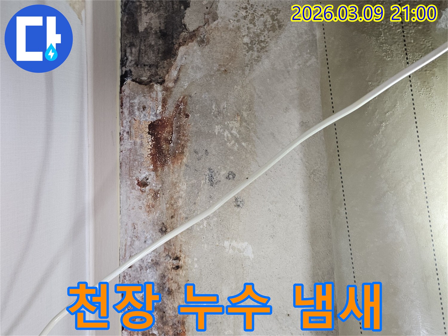 천장-누수로-인해-발생한-곰팡이와-습기로-인한-불쾌한-냄새-현상