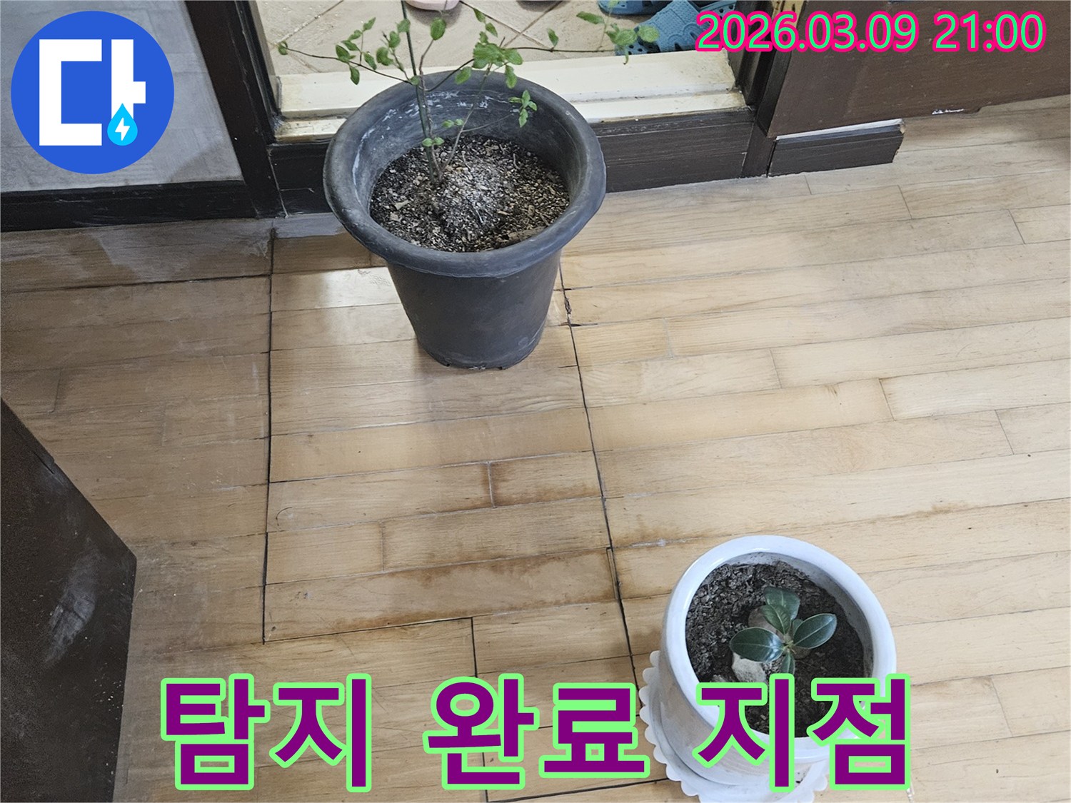 누수-탐지-후-정확한-위치를-표시하기-위해-마루-바닥에-그어진-선과-주변-물자국