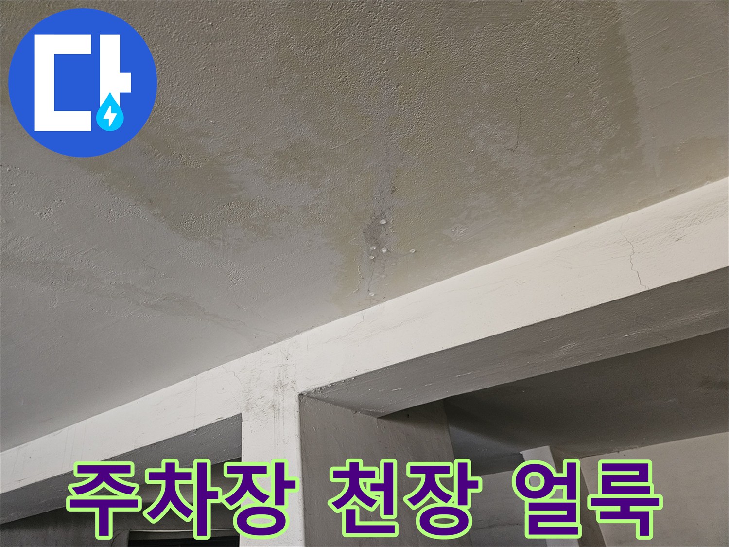 도봉구 빌라 주차장 천장에 발생한 누수 흔적과 습기 상태