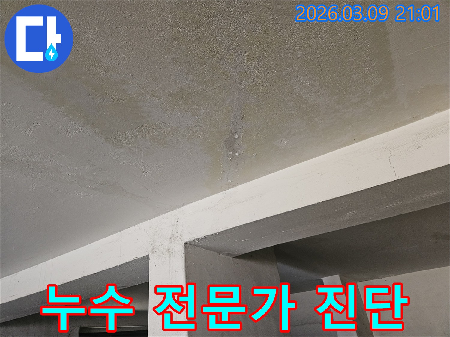 콘크리트 천장에서-물이 새어-얼룩지고-물방울이 맺힌-누수 현장을-전문가가-진단하는-모습입니다.