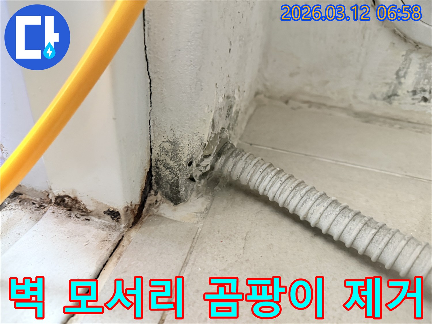 마포구-노고산동-빌라-벽-모서리에-심하게-번진-누수-곰팡이-현장-사진