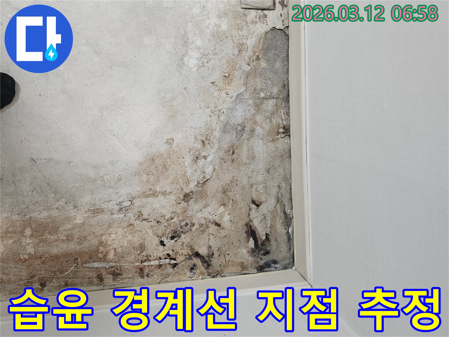 마포구-마포대로-누수-현장-습윤-경계선-분석으로-누수-지점-추정-작업-진행-중