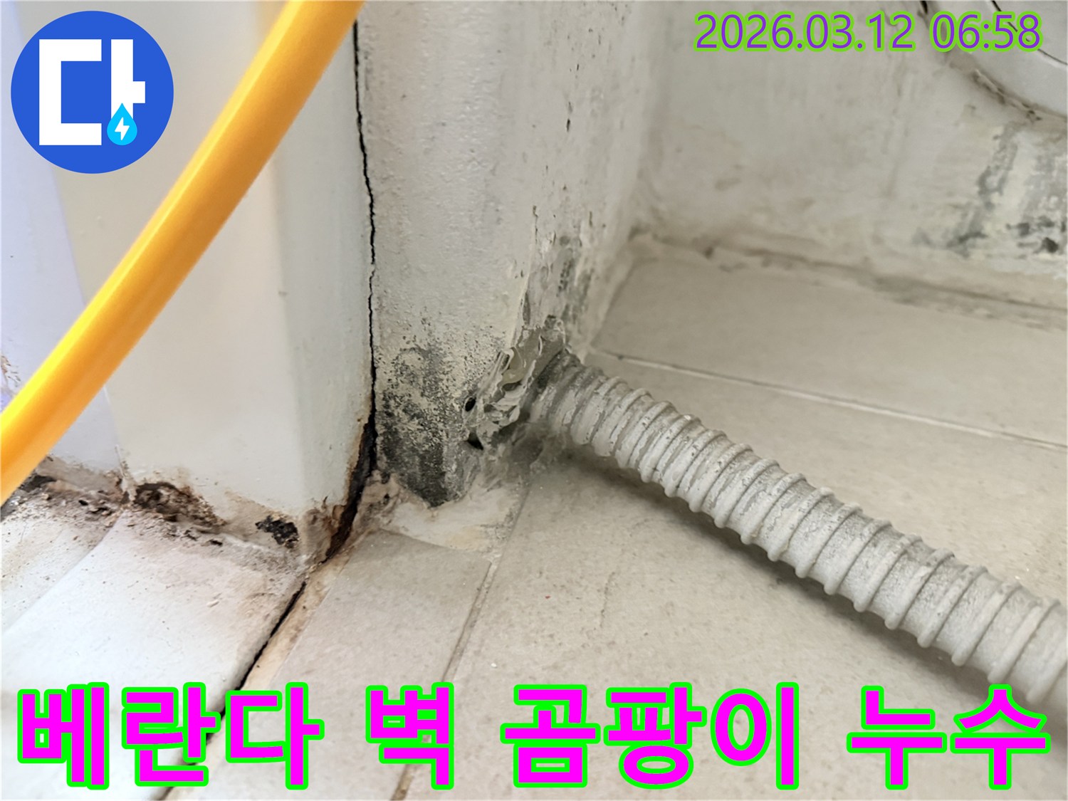 물샘-현상으로-인해-벽지가-손상되고-곰팡이가-번진-마포구-주택-내부