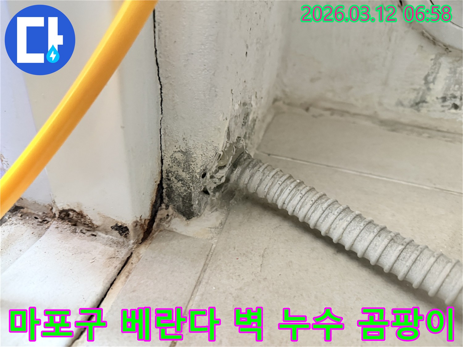 물샘-현상으로-인해-벽지가-손상되고-곰팡이가-번진-마포구-주택-내부