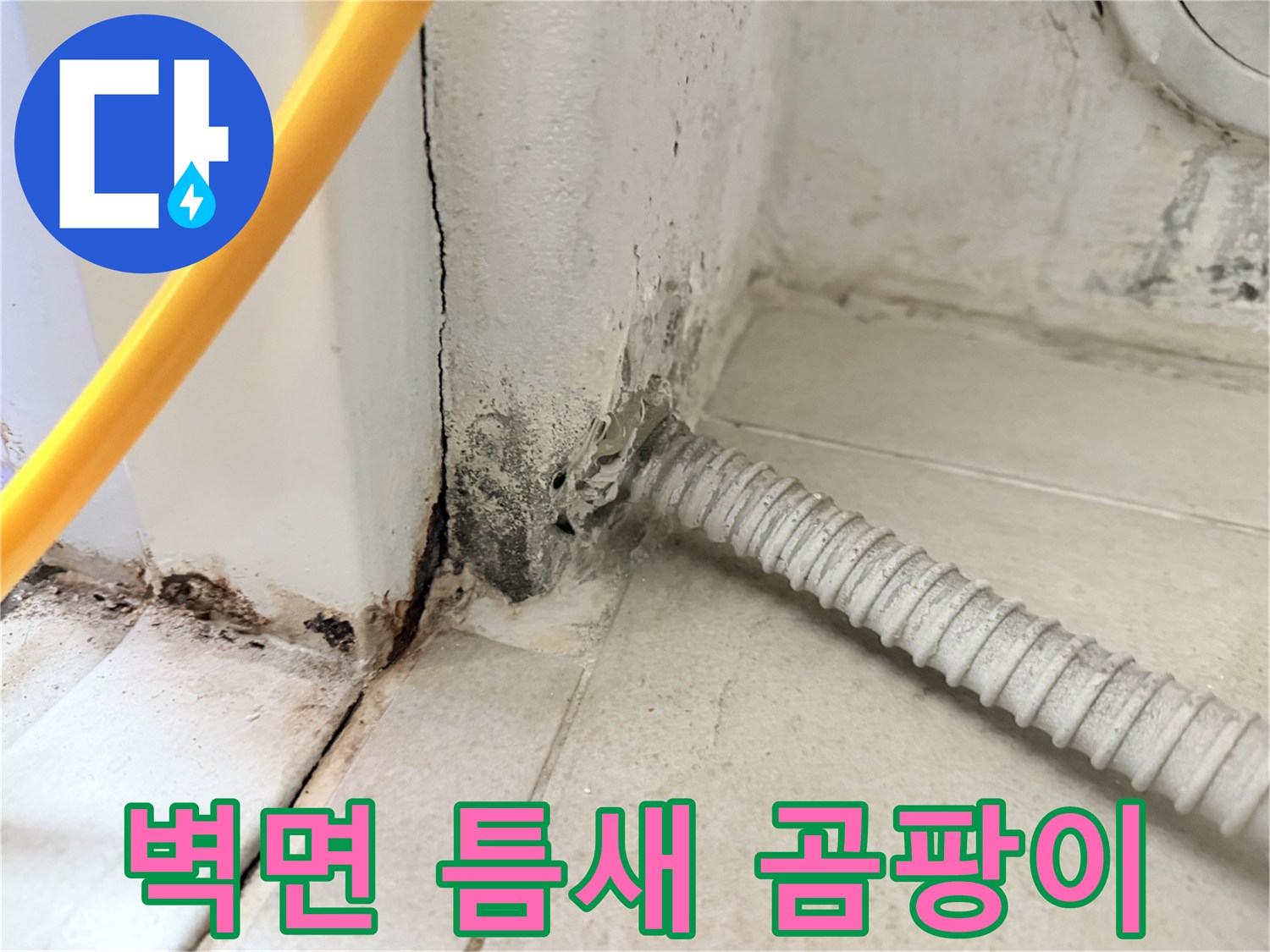 배관-주변-타일-틈새에-발생한-검은색-곰팡이-흔적
