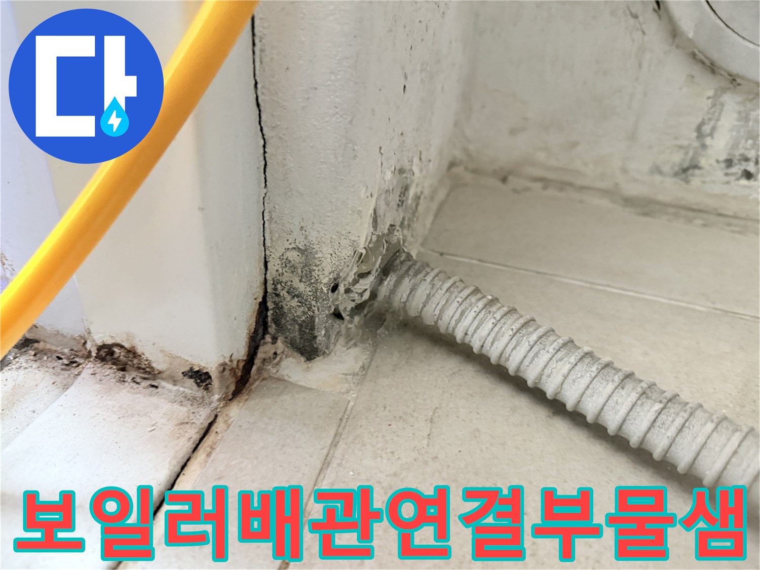 벽면-배관-통로-주변의-심한-곰팡이와-습기흔적