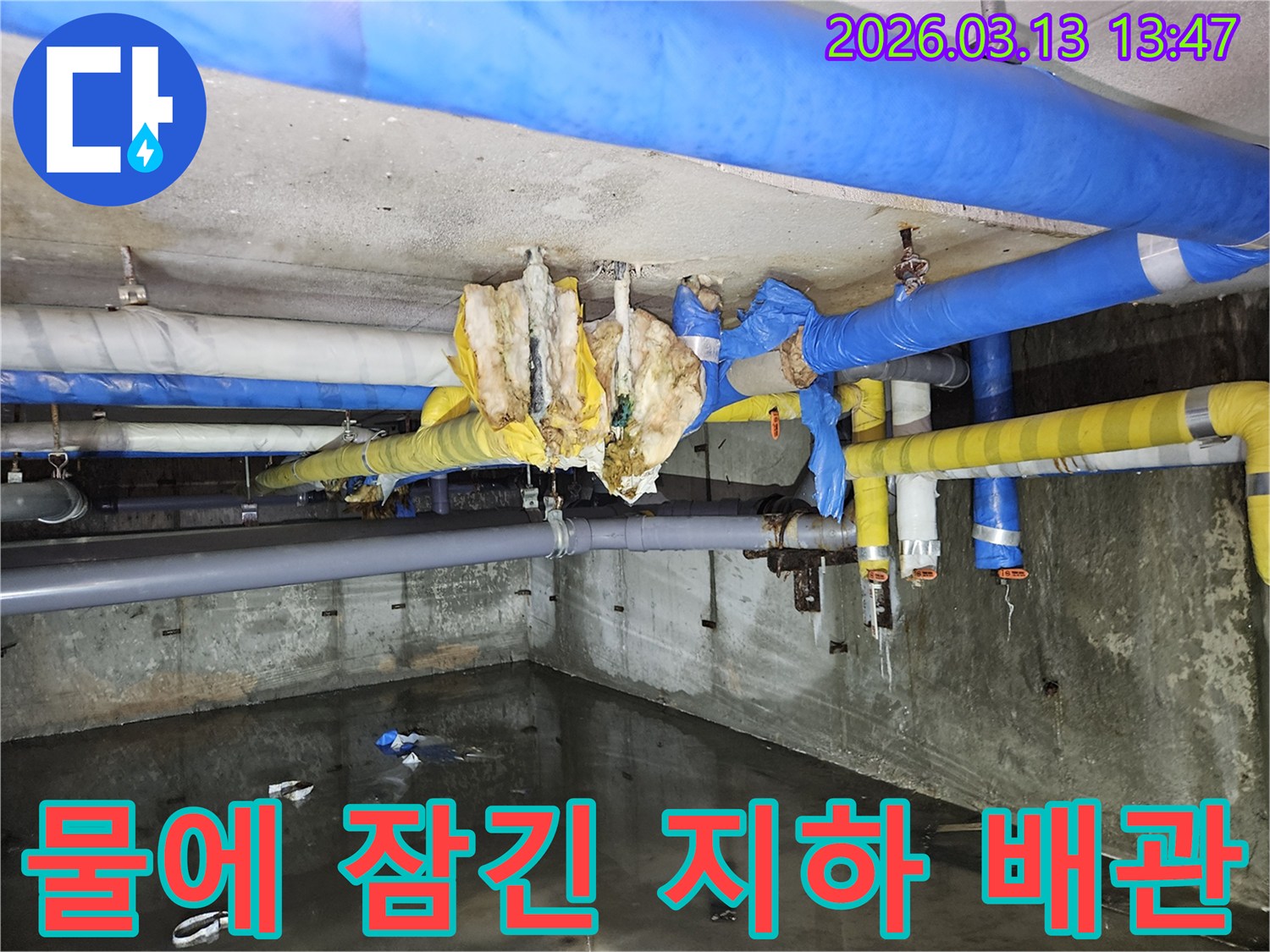 물이-가득-찬-지하-공간과-손상된-배관-보온재가-보이는-누수-현장