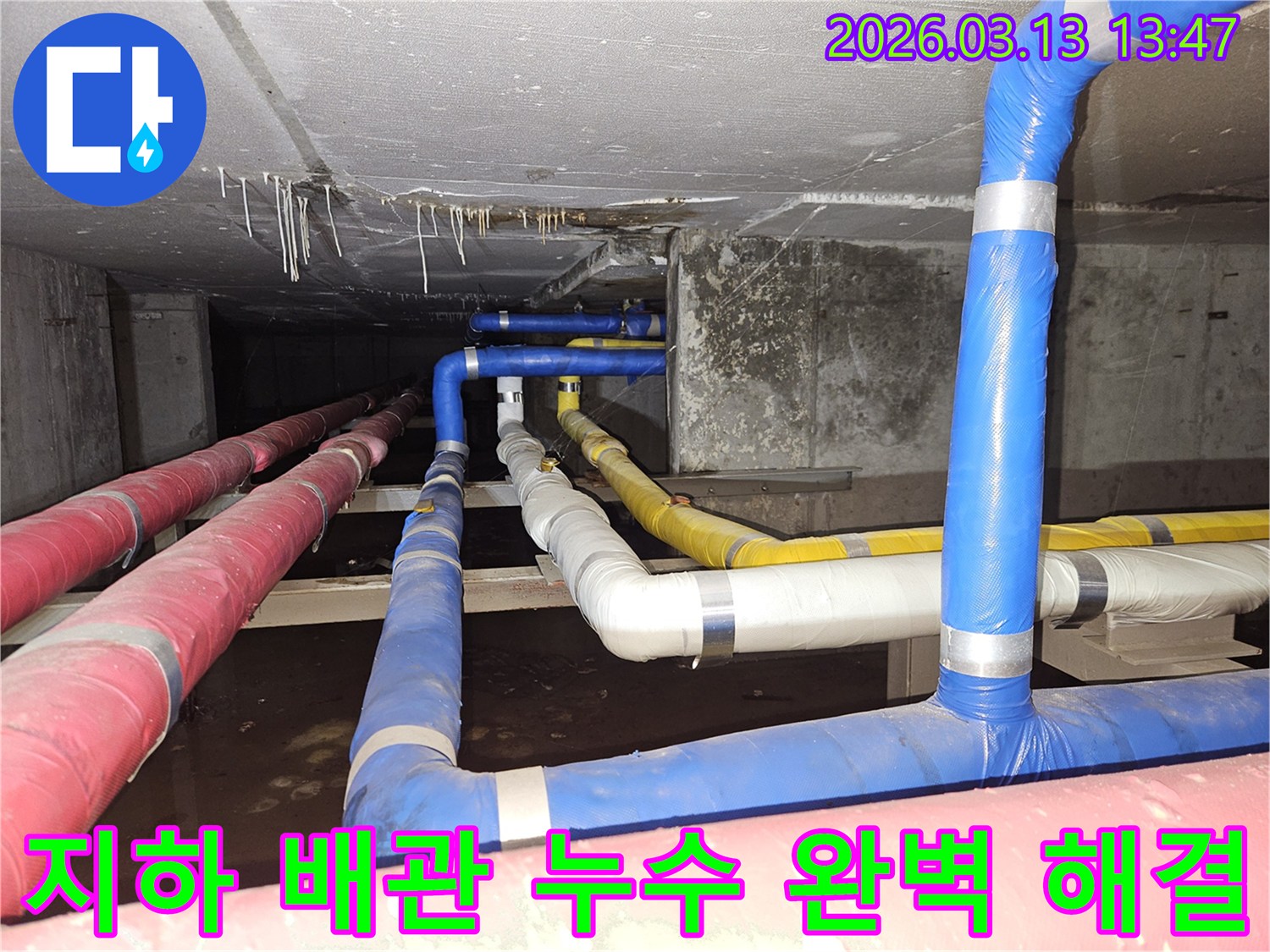 지하-공간의-복잡하게-연결된-배관들에서-발생한-누수-문제를-정확히-진단하고-완벽하게-해결하는-전문가의-모습