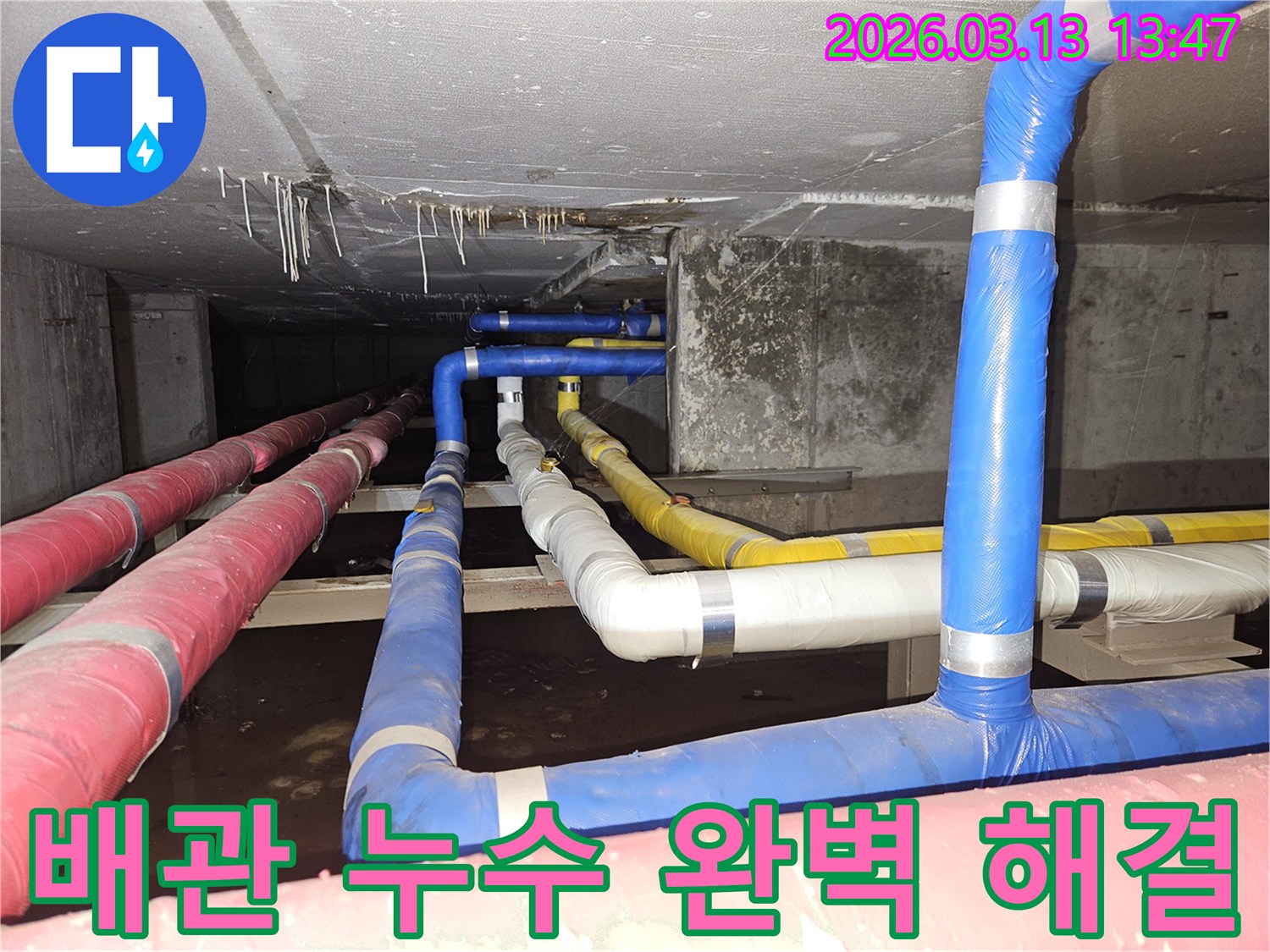 천장-아래-복잡하게-연결된-배관들에서-발생한-누수-문제를-정확히-진단하고-완벽하게-해결하는-전문가의-모습