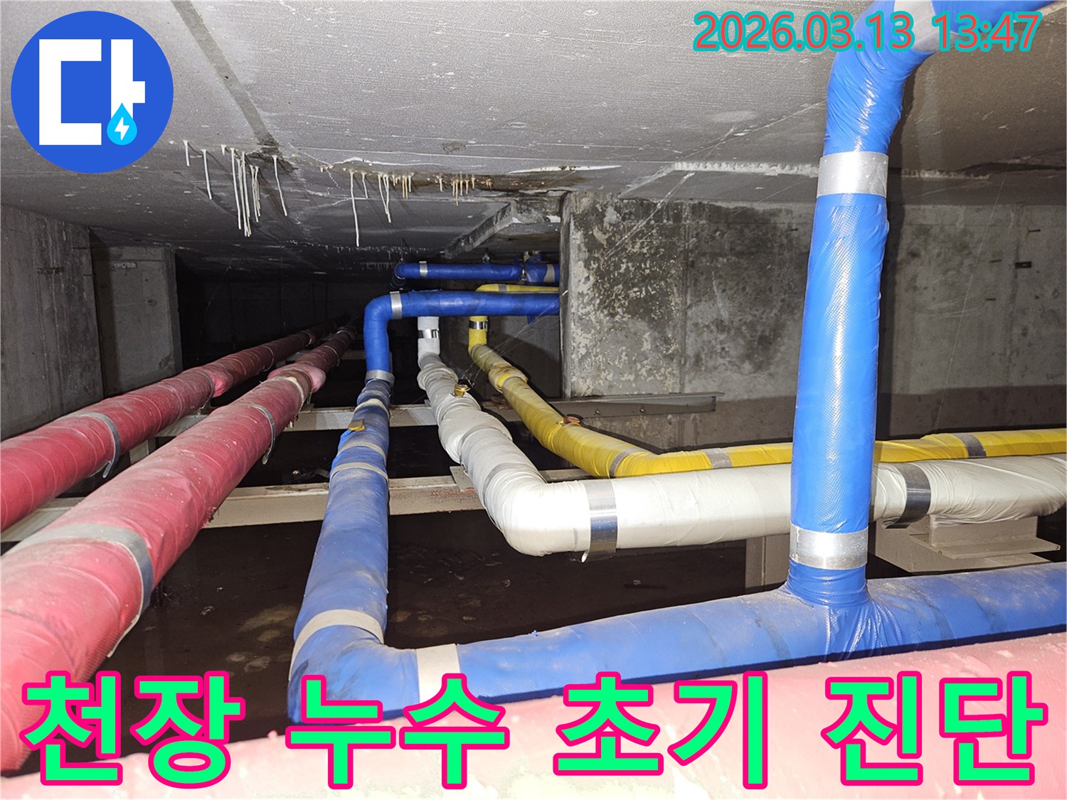 천장-아래-복잡하게-연결된-배관들에서-발생한-누수를-초기에-정확히-진단하는-전문가의-모습