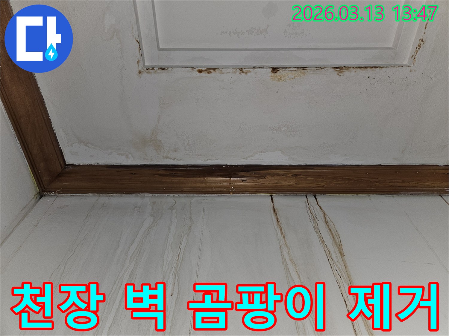 천장과 벽면에 발생한-심각한 곰팡이와 물 얼룩을 보여주는-누수 피해 현장 복원 전 모습