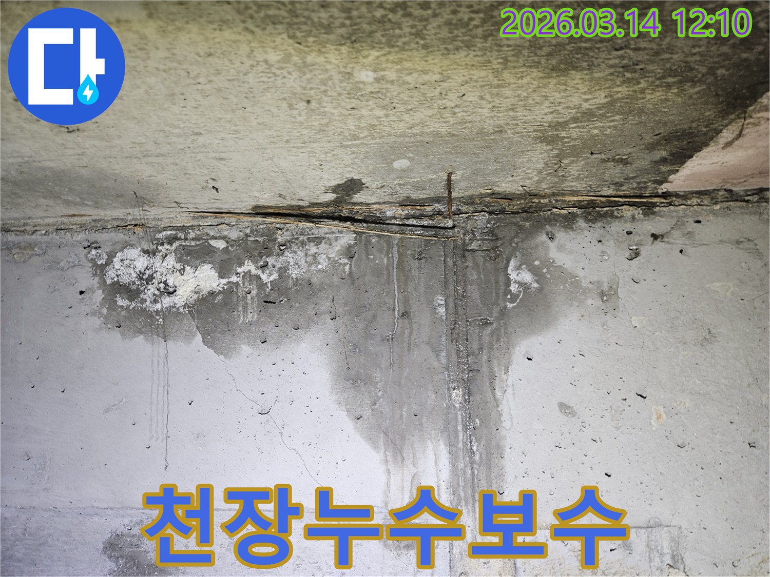 콘크리트 천장과 벽면의 이음새 부분에서-물이 지속적으로 새어 나와 벽면을 적시고 있는 현장