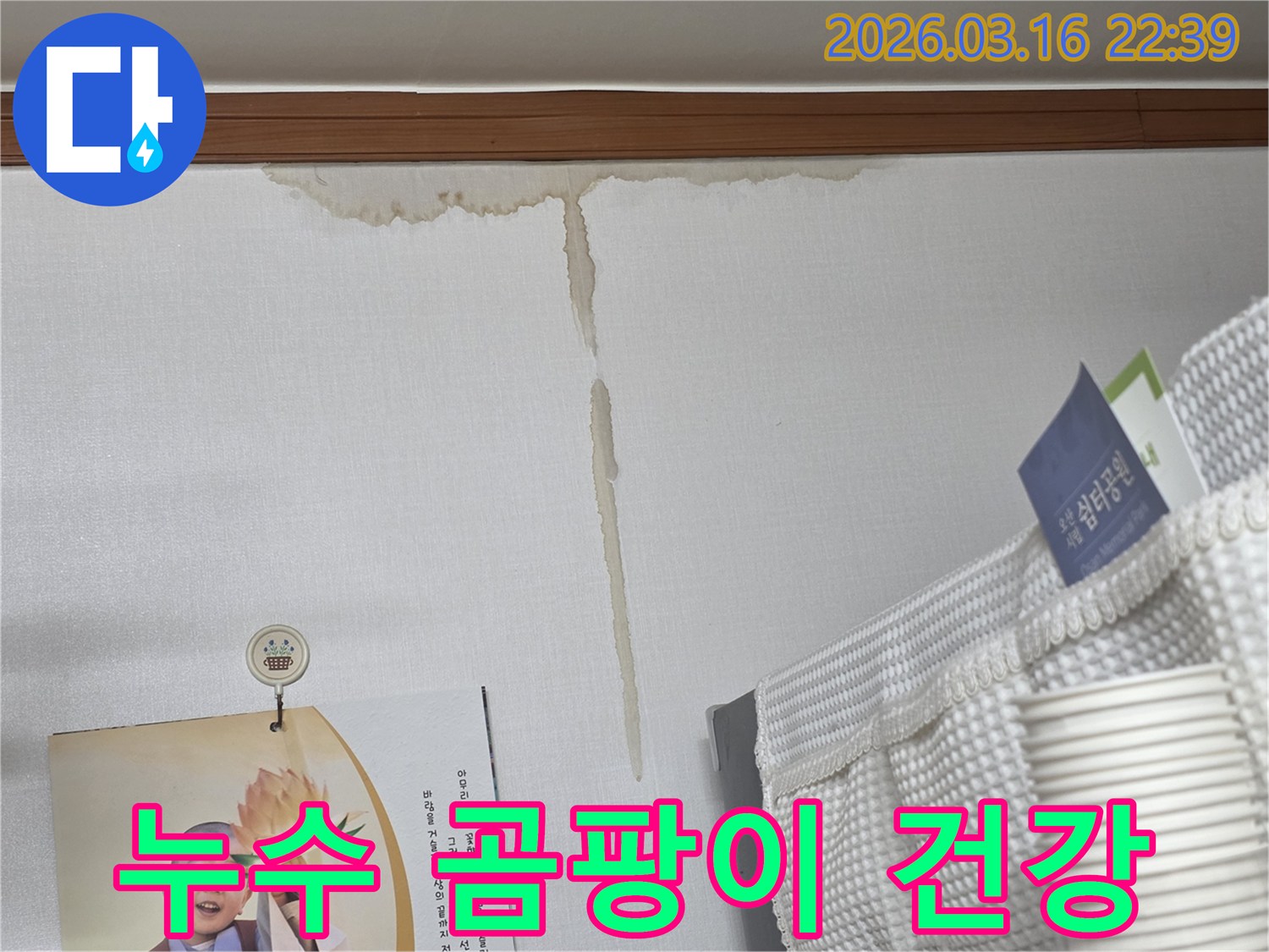 오산 운암로 주택 벽에-누수로 인해 발생한-누런 물 얼룩과-곰팡이 발생 우려