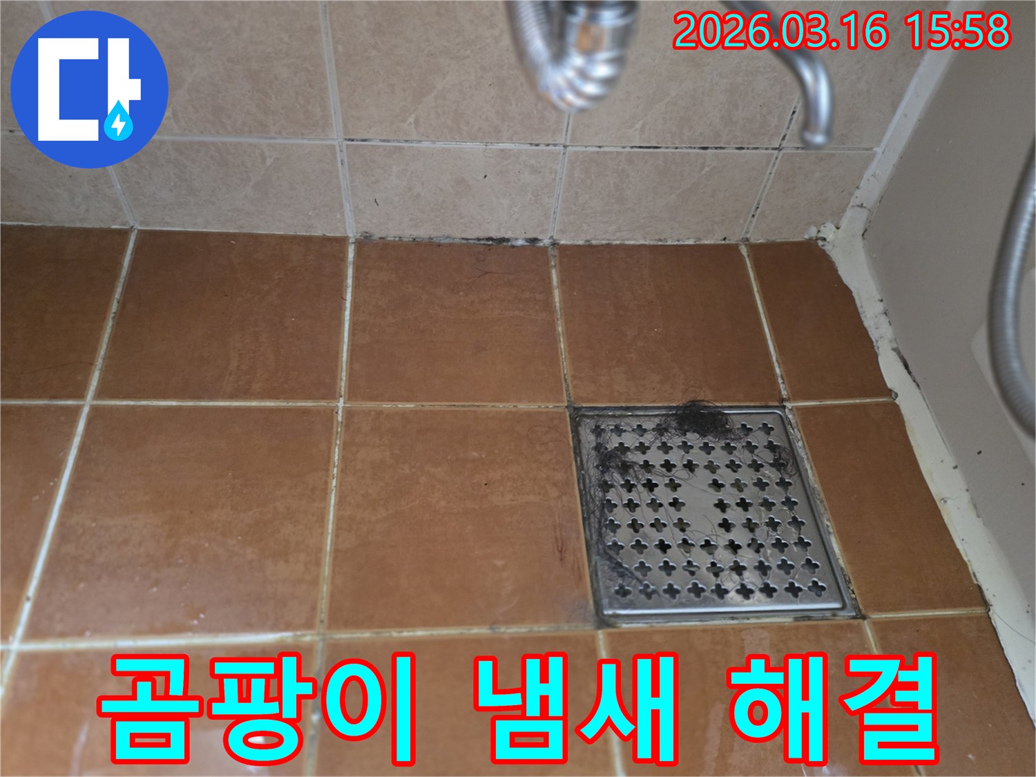 욕실 벽면 하단과-줄눈에 생긴-검은 곰팡이가-불쾌한 냄새와-누수 발생의-연관성을 보여줍니다