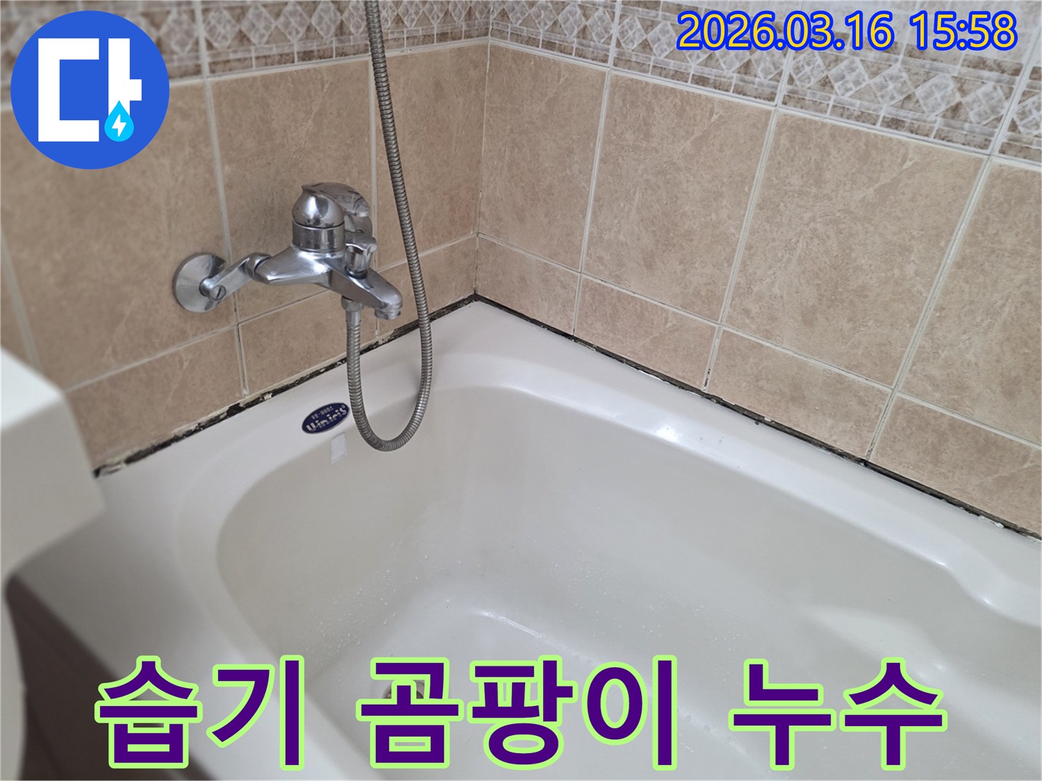 욕조-수전-및-샤워기-주변의-습기로-인한-곰팡이와-누수-가능성을-점검하는-전문가의-시선