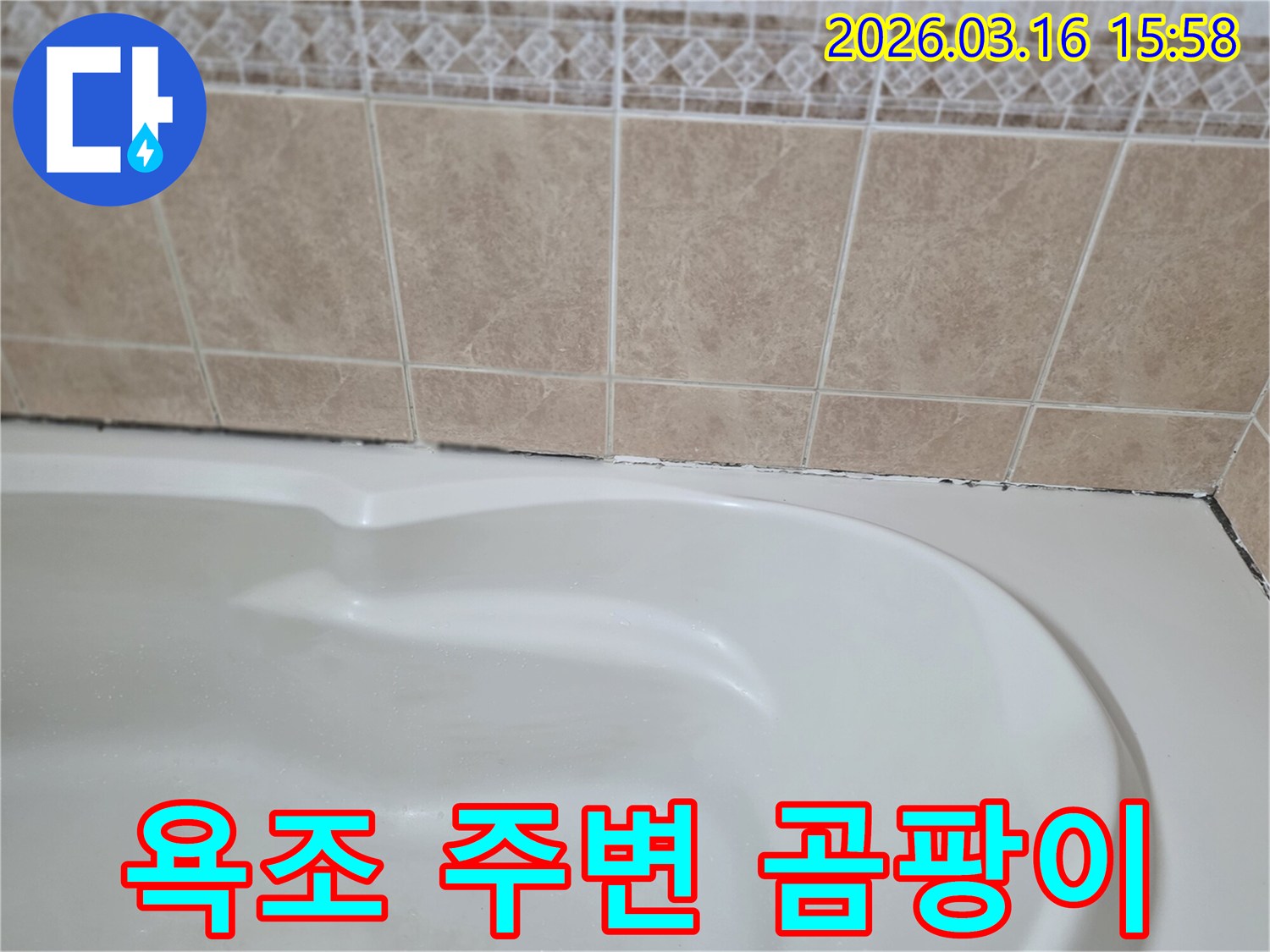 욕조와-타일-경계면에-발생한-검은-곰팡이는-지속적인-습기-침투와-누수-가능성을-시사하며-건강에도-해로울-수-있습니다.