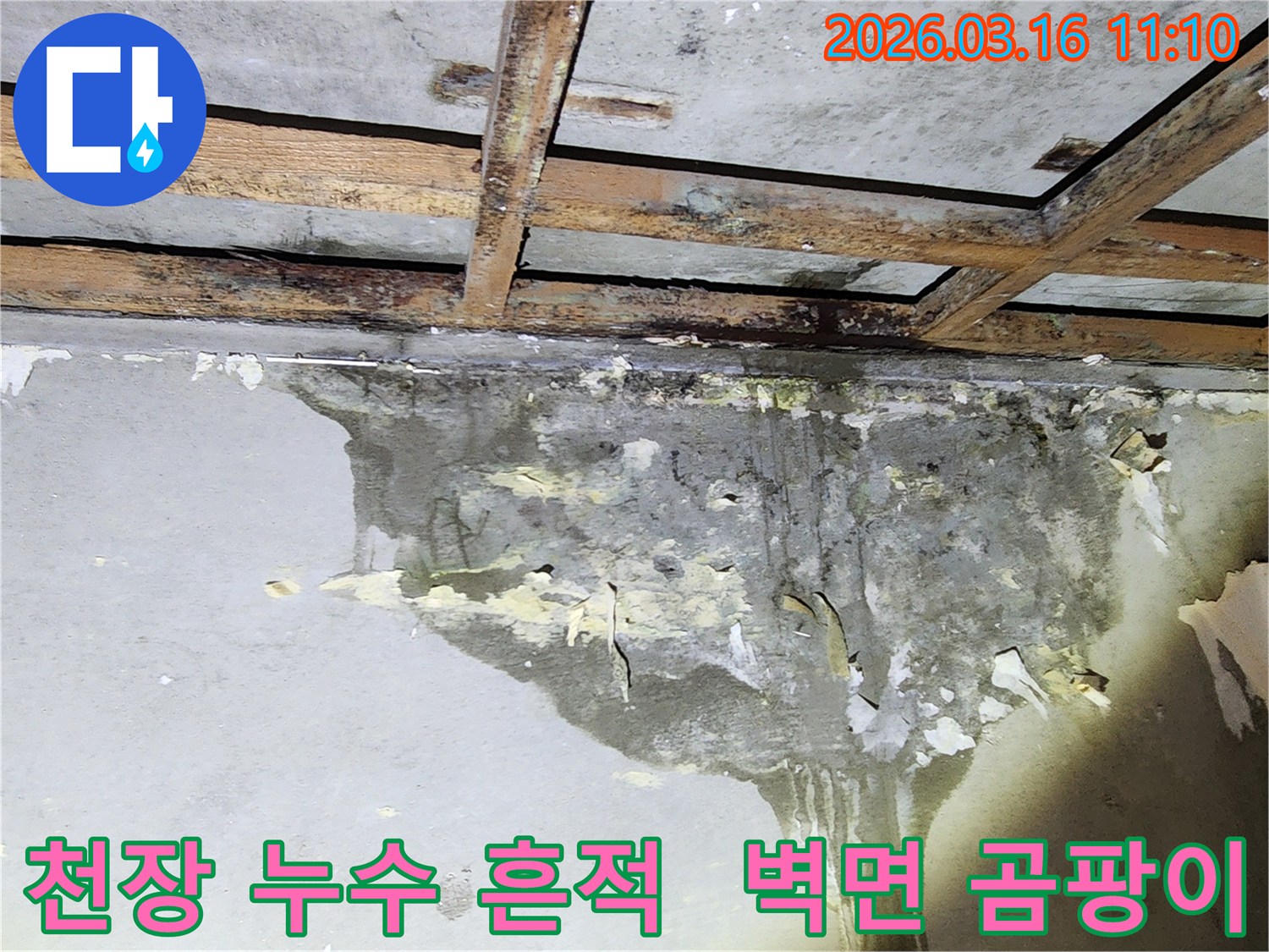 천장에서 물이 새어 벽면으로 흘러내린-심각한 누수 피해 현장