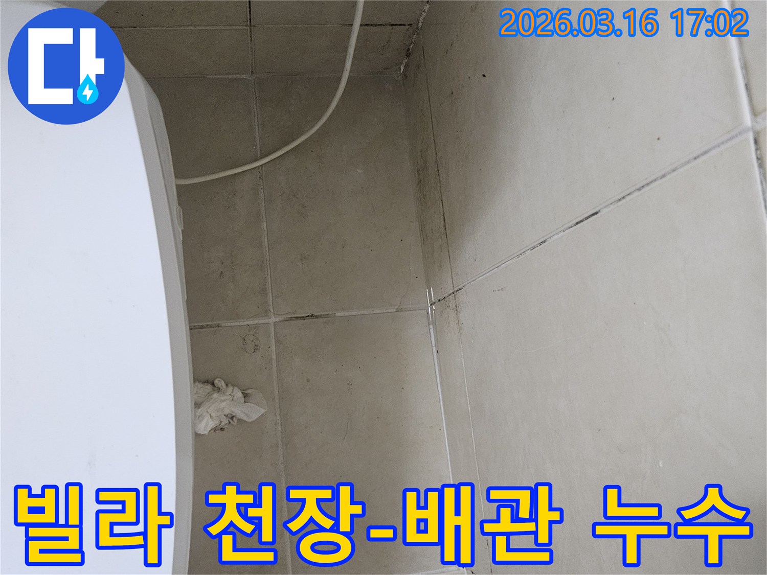 빌라 화장실 천장과 벽면 타일에 검은 곰팡이가 심하게 번져있으며-천장 일부가 손상되어 내부 배관 누수가 의심되는 현장입니다