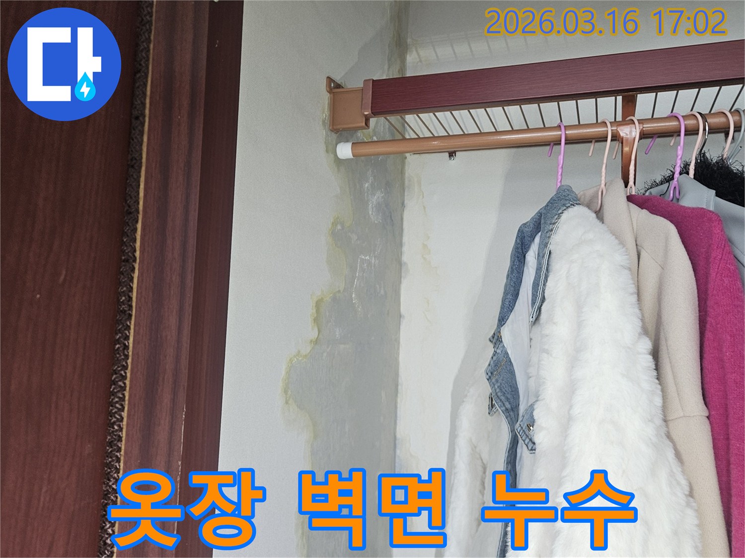 옷장 안쪽 벽면과 바닥에 누수로 인한 젖음과 곰팡이가 발생한 모습