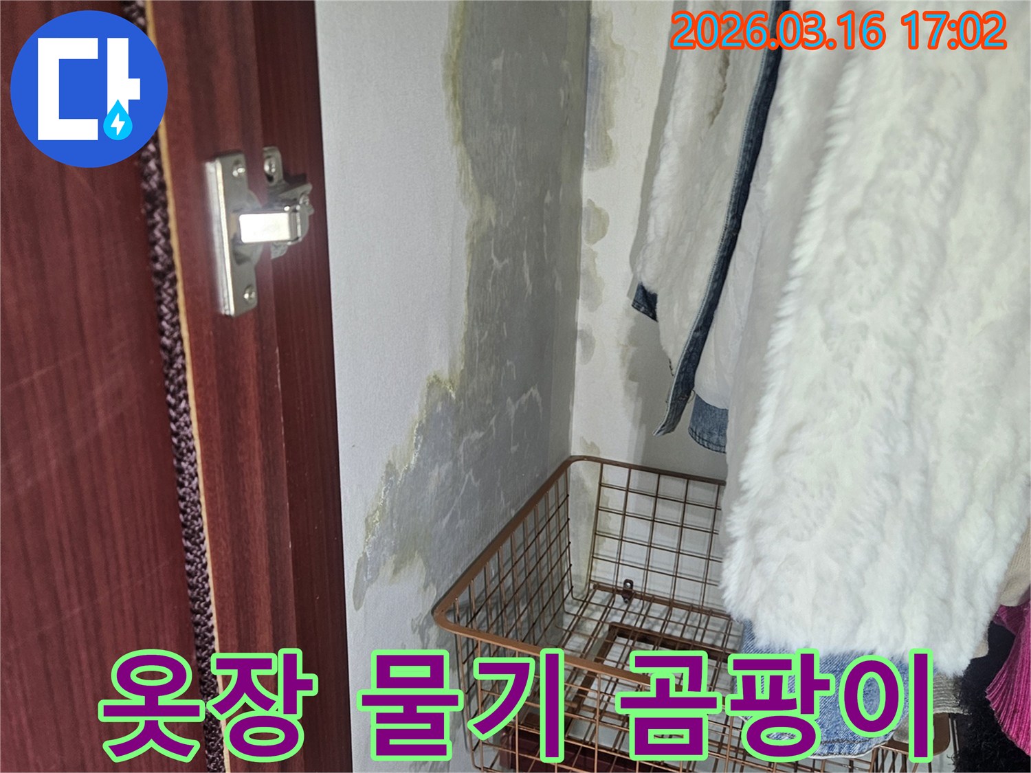 옷장 안쪽- 벽에 생긴- 물기와- 곰팡이로 인한- 얼룩 현상