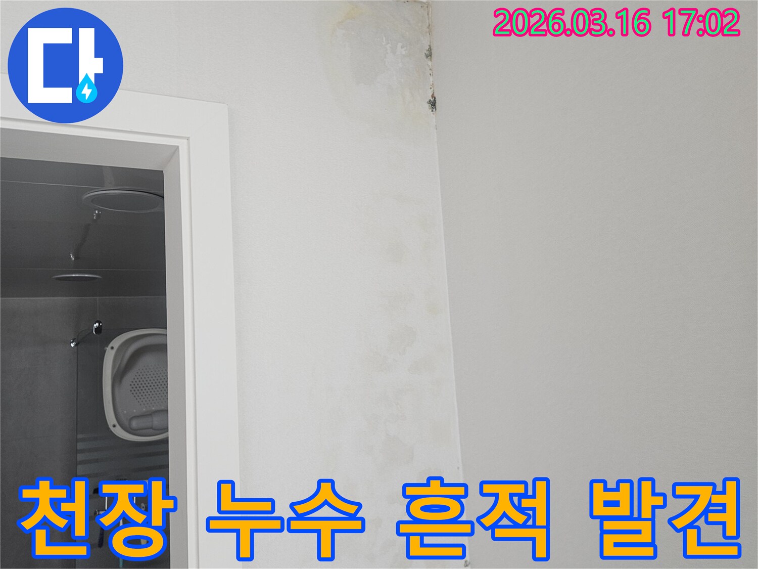 욕실 천장 모서리에서 발견된 누수 흔적-얼룩과 초기 곰팡이 발생을 보여줍니다