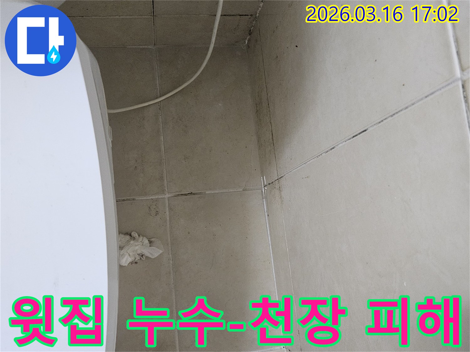 윗집 배관 문제로 인해 천장과 벽면 타일에 검은 곰팡이가 발생하고-일부 천장 마감재가 손상된 누수 피해 현장 사진입니다