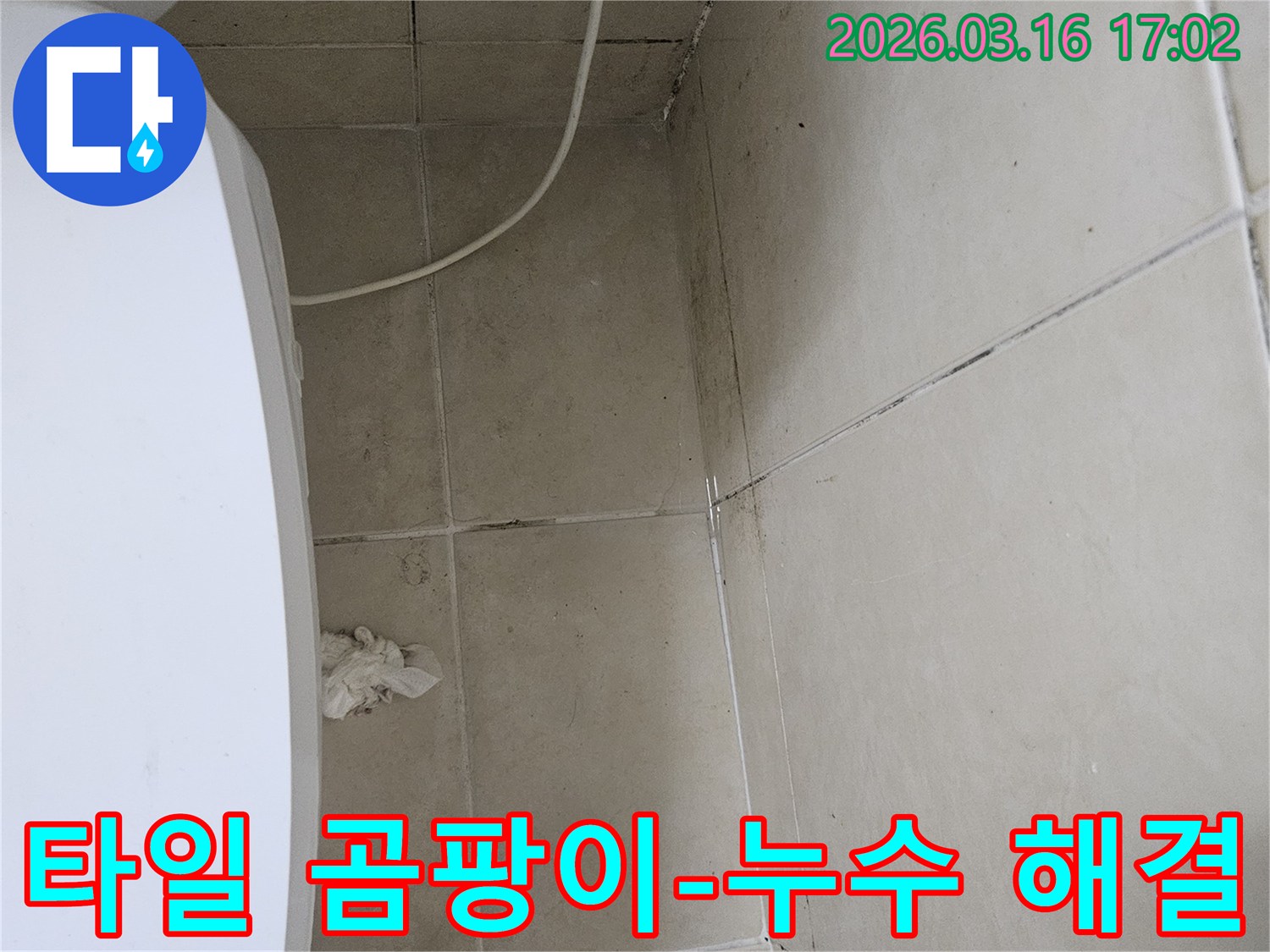 천장과 벽면 타일 사이의 줄눈에 검은 곰팡이가 심하게 번져있는 모습입니다-이는 타일 틈새로 물이 스며들어 발생한 누수 현상으로 보입니다