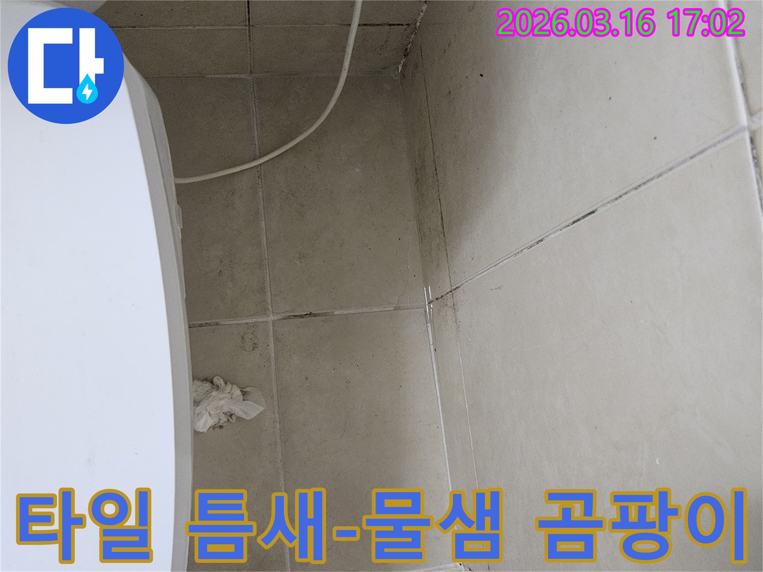 천장과 벽면 타일 사이의 줄눈에 검은 곰팡이가 심하게 번져있으며-이는 타일 틈새로 물이 스며들어 발생한 누수 현상으로 보입니다