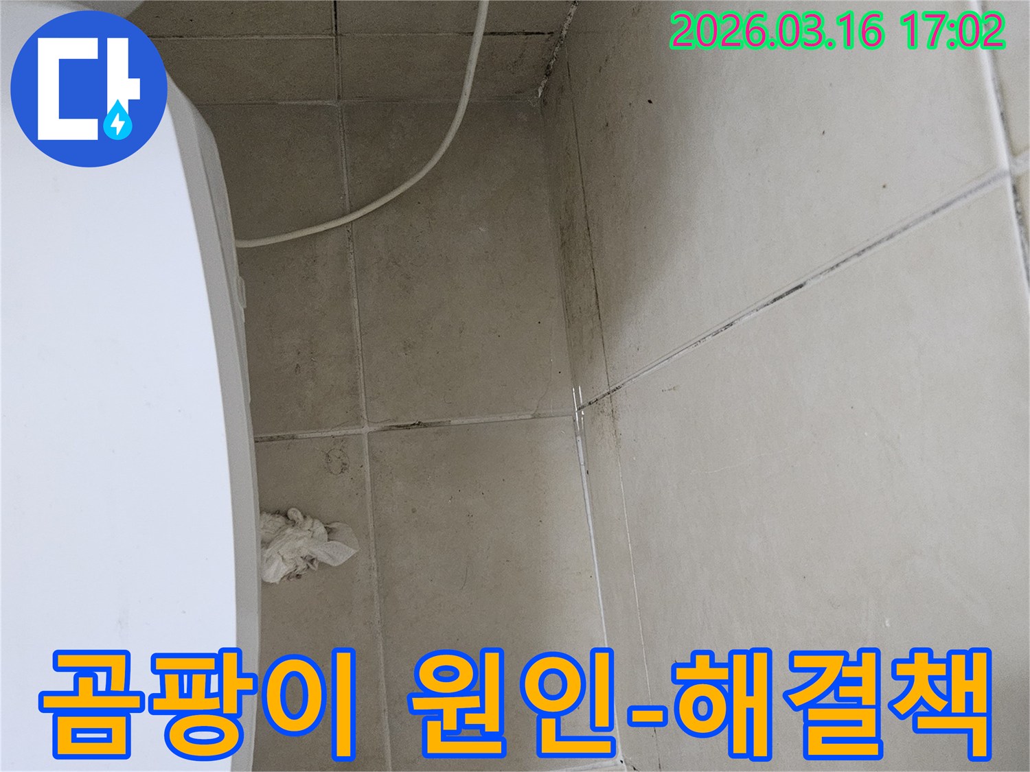 천장과 벽면 타일에 검은 곰팡이가 넓게 퍼져있으며-이는 누수로 인한 습기 축적의 명확한 증거입니다