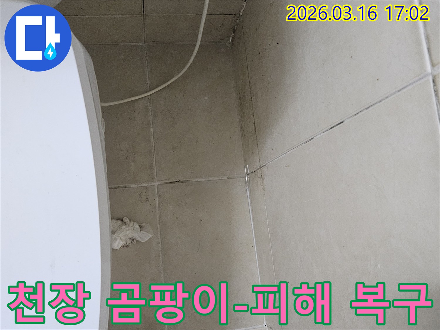 천장과 벽면 타일에 검은 곰팡이가 넓게 퍼져있으며-이는 누수로 인한 습기 축적의 명확한 증거입니다
